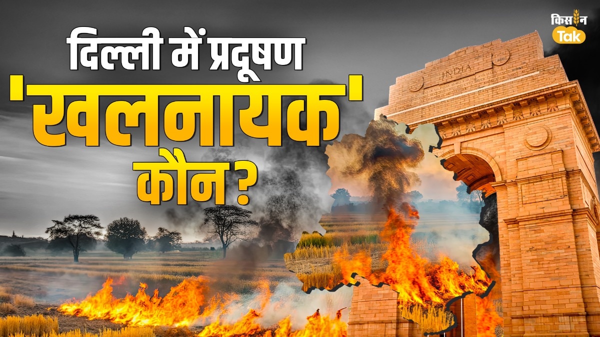 द‍िल्ली में वायु प्रदूषण की असली वजह क्या है? 