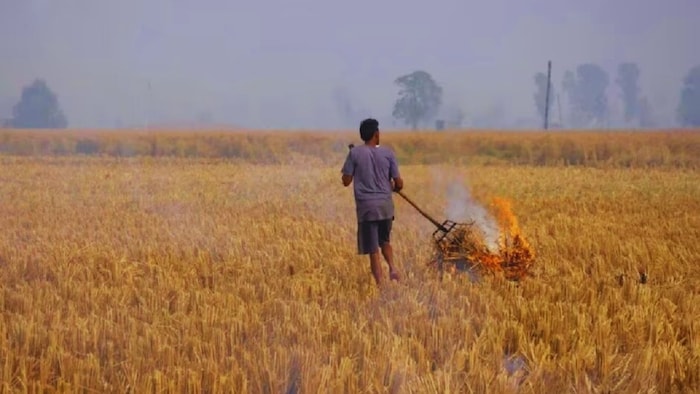 पराली की समस्या