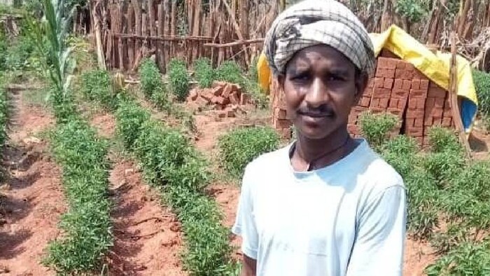 chili farmer success story