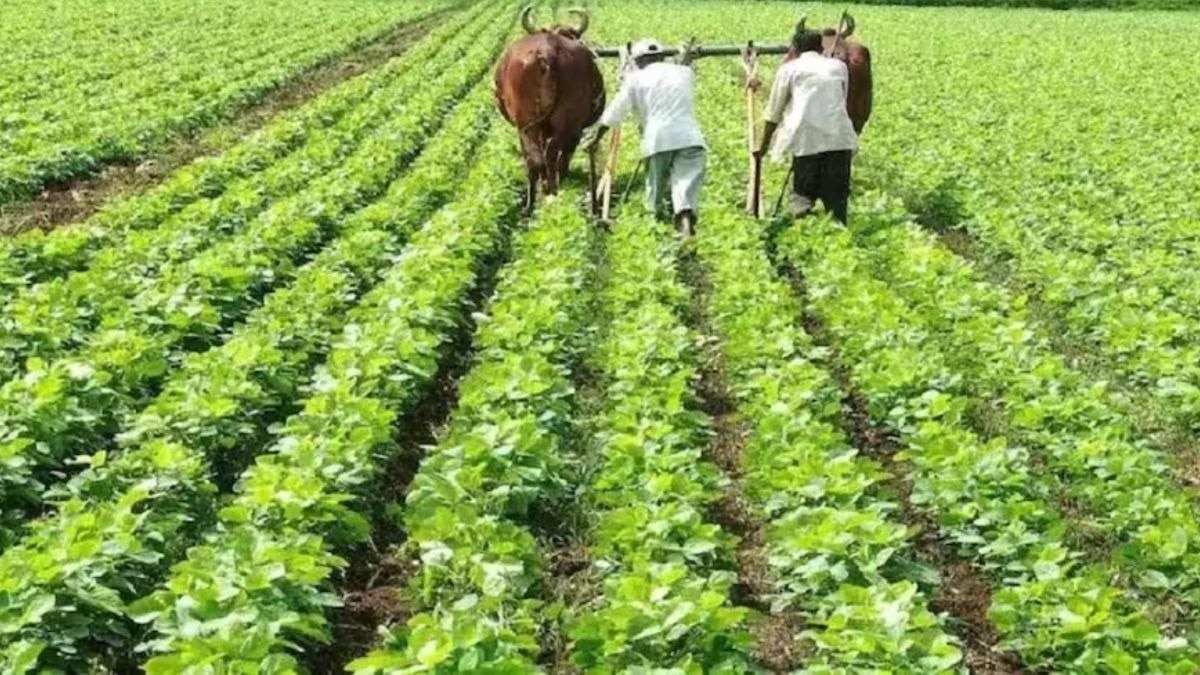 सोयाबीन के ल‍िए खतरनाक कीड़े कौन से हैं? 