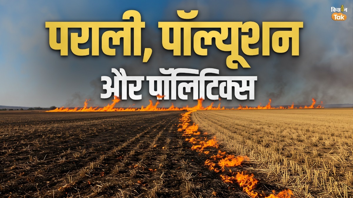प्रदूषण का असली गुनहगार कौन? 