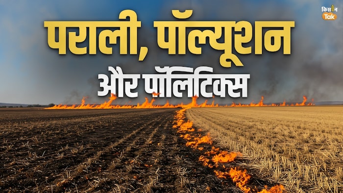 प्रदूषण का असली गुनहगार कौन?