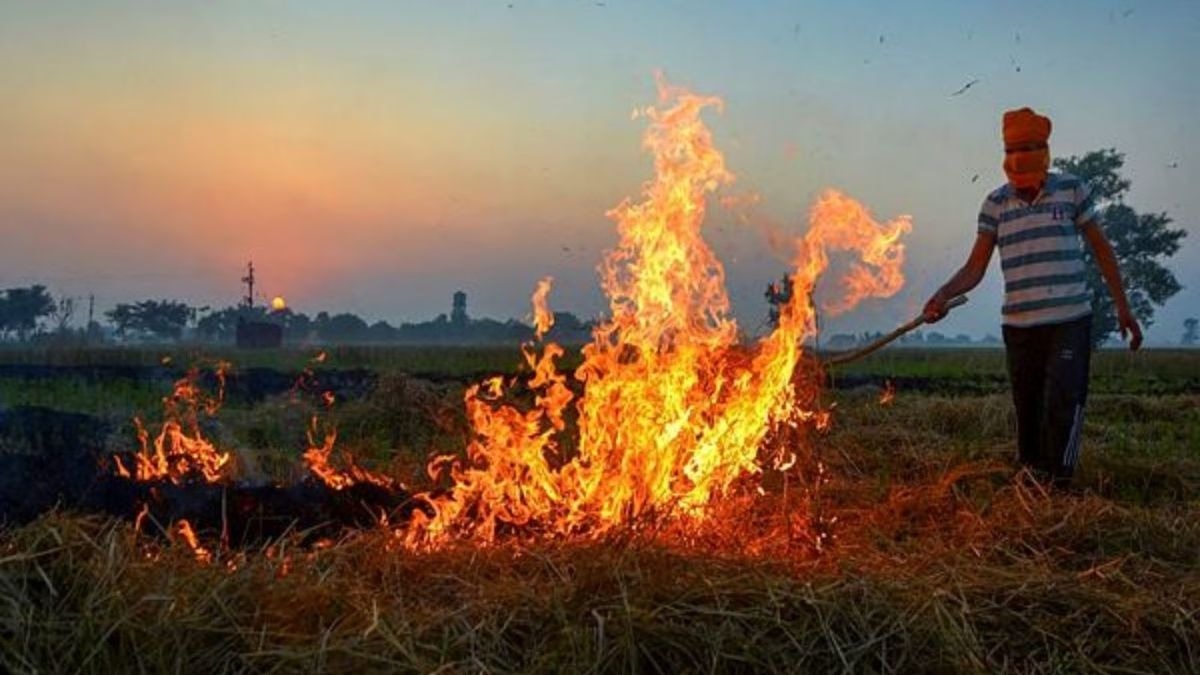 यूपी बना पराली का नया हॉटस्पॉट