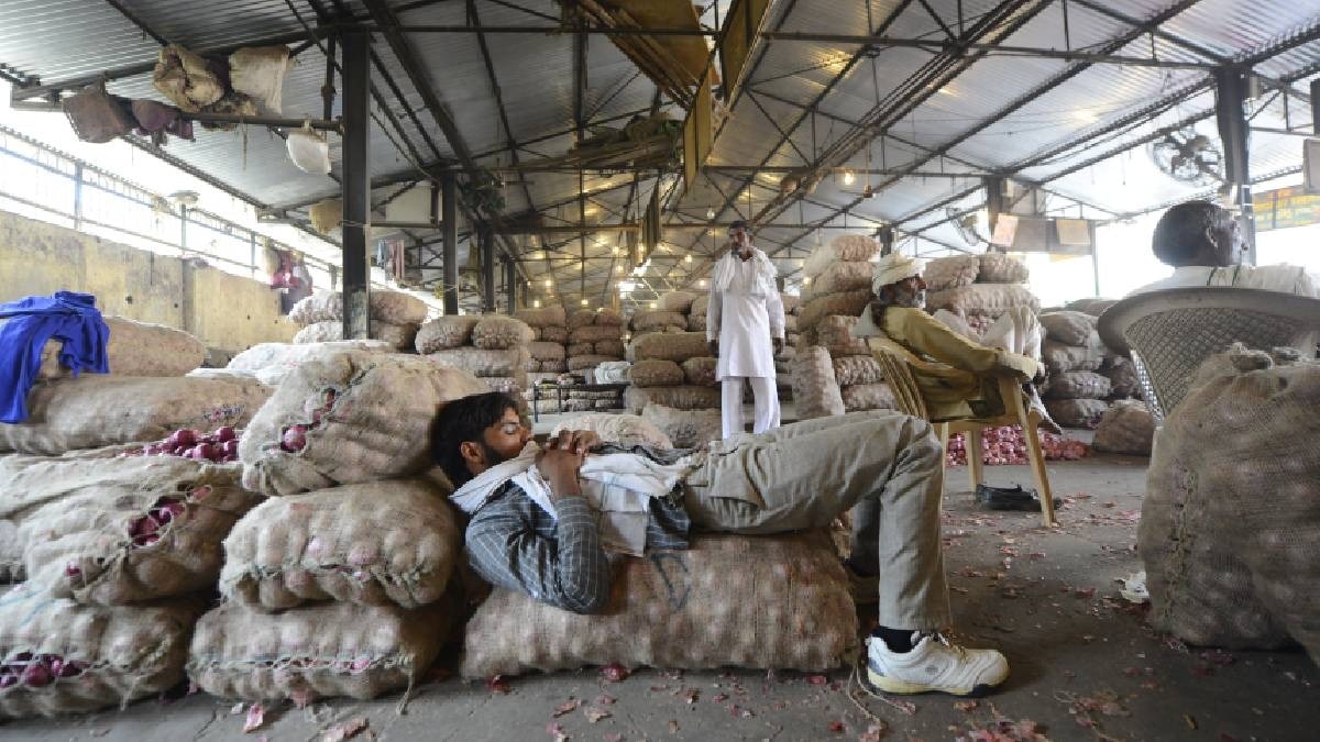 onion price fall