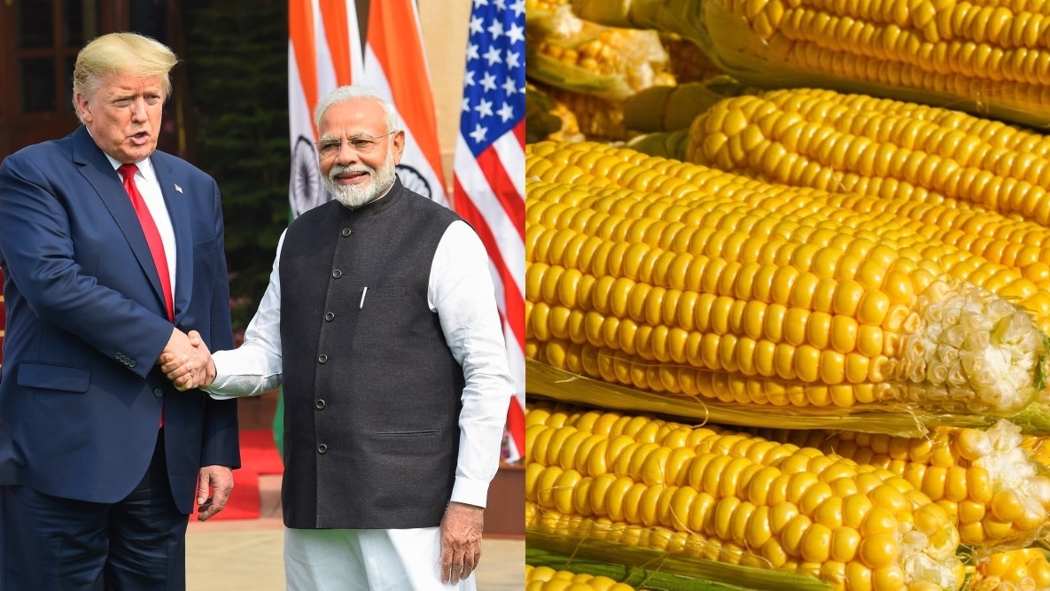 India vs US Corn Market 