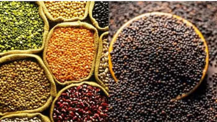 दलहन-तिलहन के दाम धड़ाम