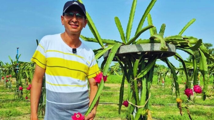 बंजर जमीन पर किसान ने उगाया 'सोना'