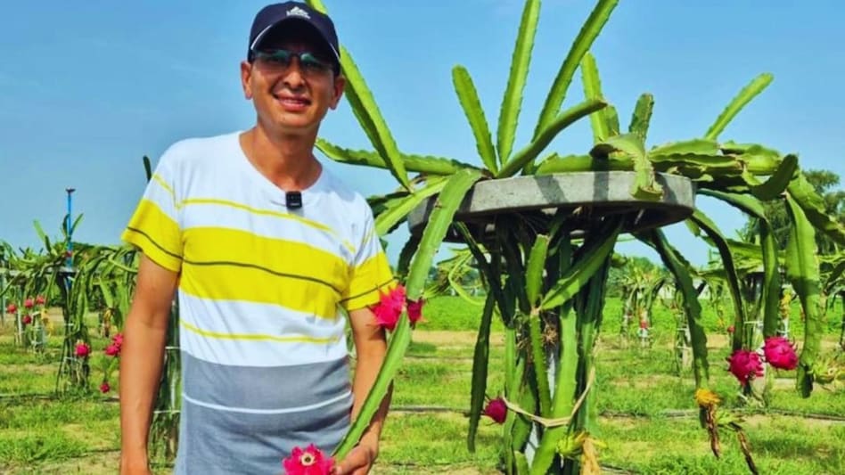 Success Story: बंजर जमीन में उगाया 'सोना', ड्रैगन फ्रूट से लाखों में कमाई Success Story: बंजर जमीन में उगाया 'सोना', ड्रैगन फ्रूट से लाखों में कमाई