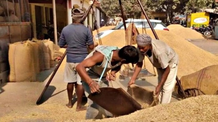 पंजाब में धान खरीद