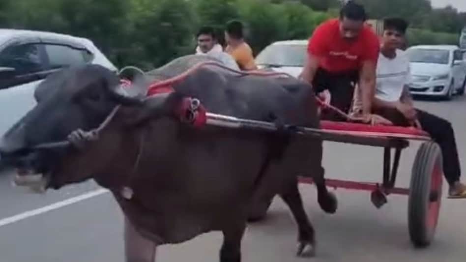 हापुड़ कार्तिक मेले में भैंसा बग्गी दौड़ पर रोक, बढ़ावा देने के मामले में 18 यूट्यूबर्स पर केस दर्ज हापुड़ कार्तिक मेले में भैंसा बग्गी दौड़ पर रोक, बढ़ावा देने के मामले में 18 यूट्यूबर्स पर केस दर्ज