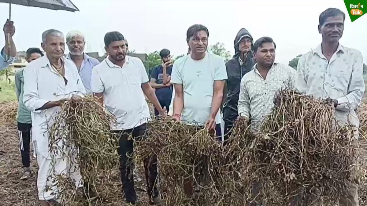 rains in Amreli