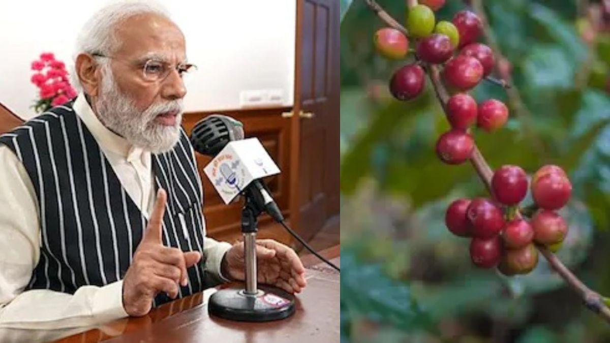 कोरापुट कॉफी की PM मोदी ने की तारीफ