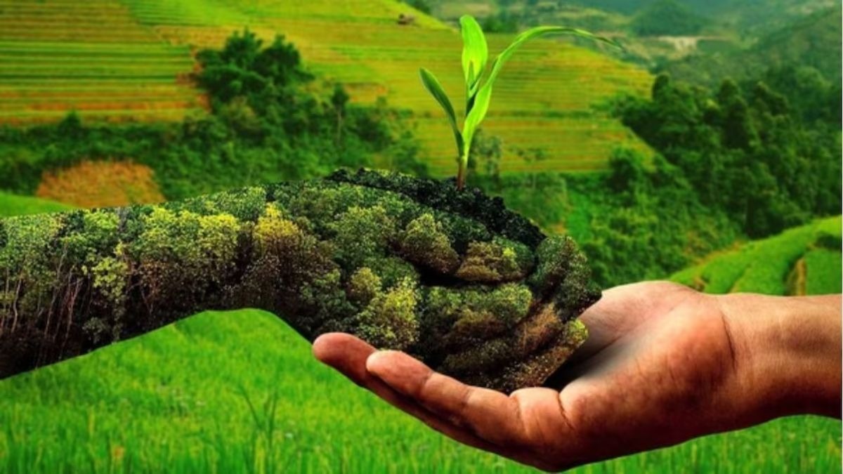 गुजरात में प्राकृतिक खेती की बड़ी पहल