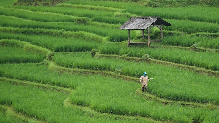 Natural Farming