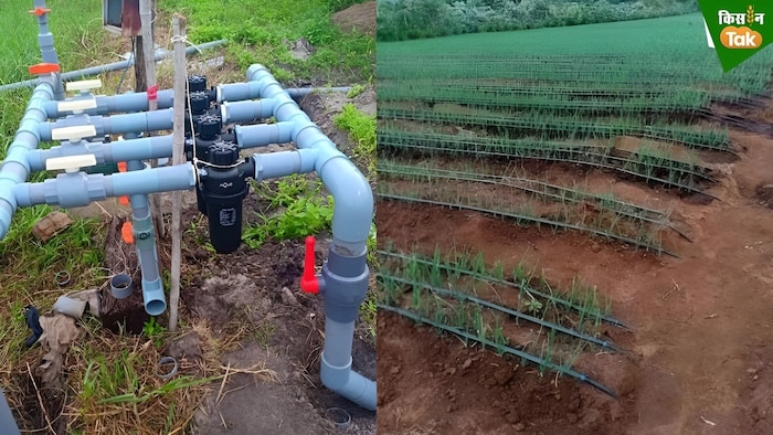 drip irrigation