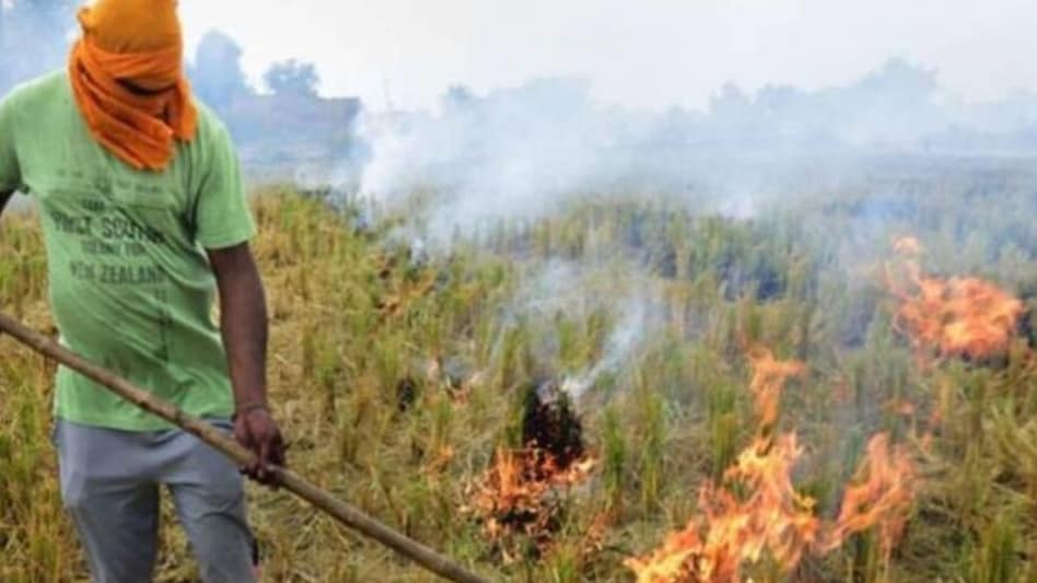 Stubble Burning: पंजाब में पराली जलाने के मामलों में रिकॉर्ड गिरावट, किसानों ने जगाई नई उम्मीद Stubble Burning: पंजाब में पराली जलाने के मामलों में रिकॉर्ड गिरावट, किसानों ने जगाई नई उम्मीद