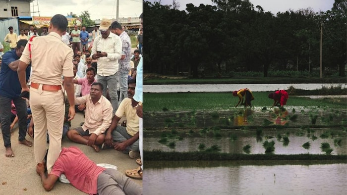 Telanagana Paddy Farmers