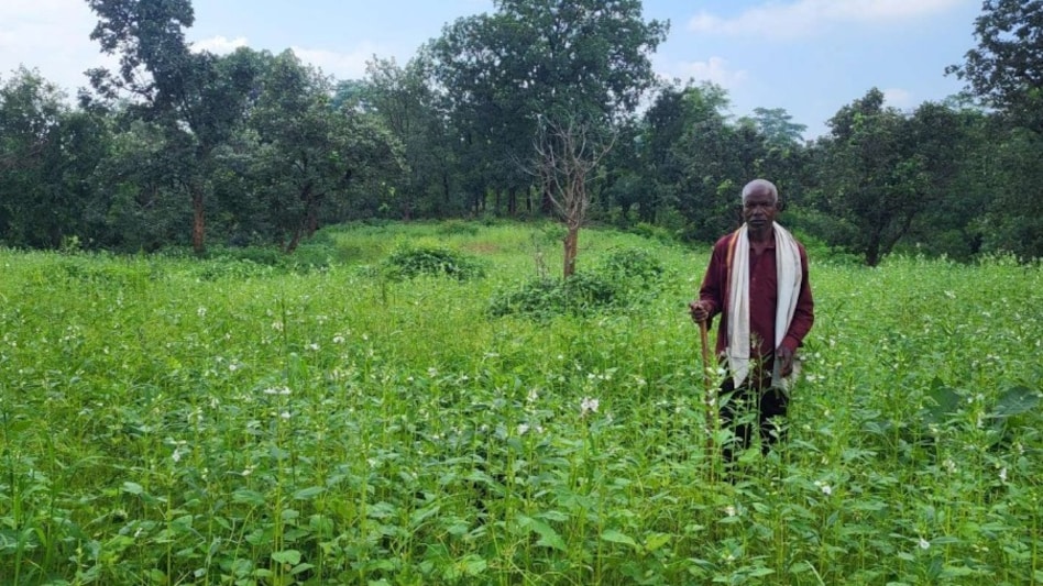 महावीर पुषाम बने प्रगतिशील किसान, आधुनिक तकनीक और सरकारी योजनाओं से दोगुनी की आय महावीर पुषाम बने प्रगतिशील किसान, आधुनिक तकनीक और सरकारी योजनाओं से दोगुनी की आय