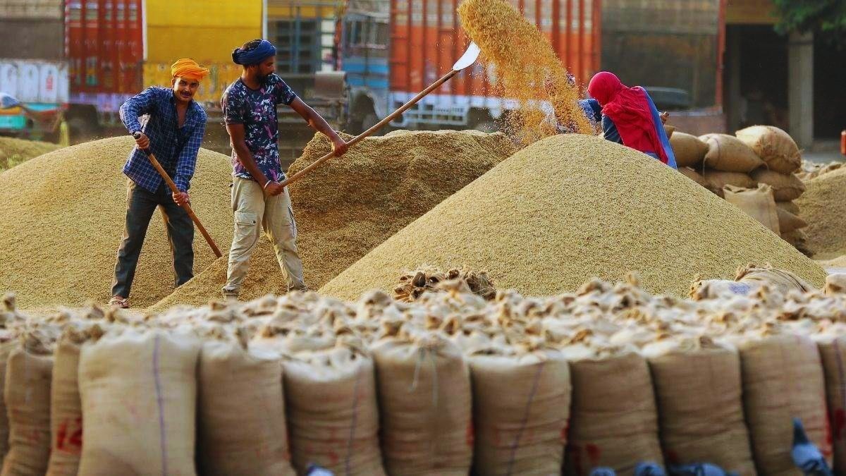 धान का मंडी भाव