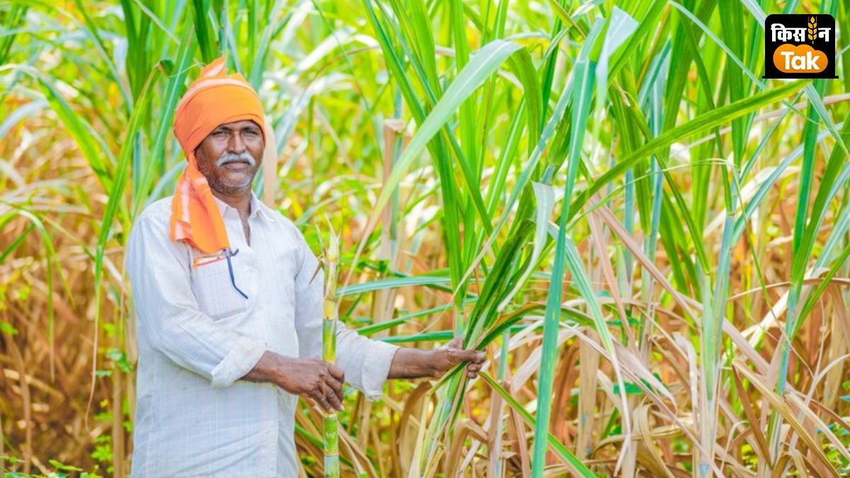 ISMA on Govt sugar export and ethanol Policy