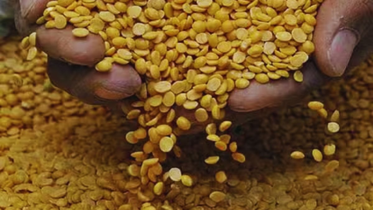 अरहर की फसल को नुकसान