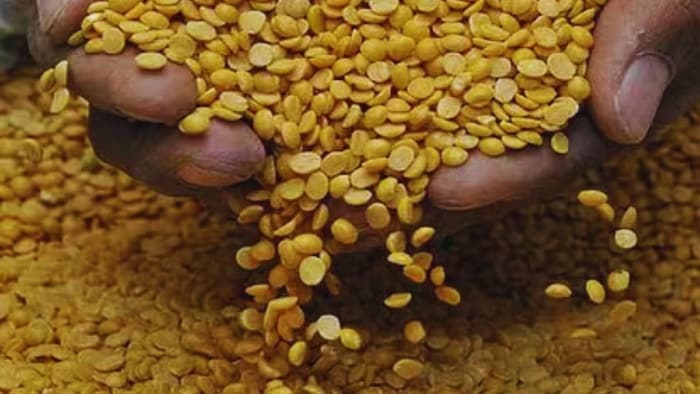 अरहर की फसल को नुकसान