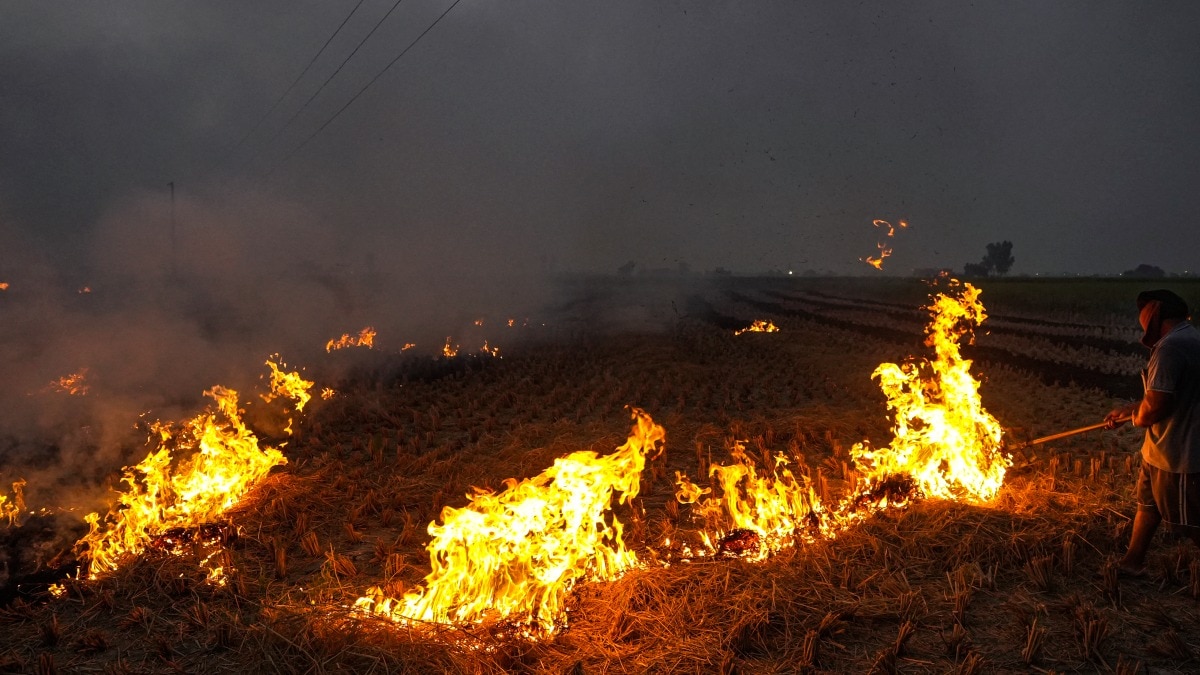 stubble burning Punjab   