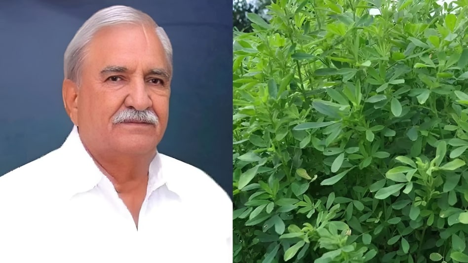 Fodder Seed Issue: ‘कहां गया रिजका चारा का बीज, नॉर्थ इंडिया में भटक रहे किसान’- रामचन्द्र चौधरी Fodder Seed Issue: ‘कहां गया रिजका चारा का बीज, नॉर्थ इंडिया में भटक रहे किसान’- रामचन्द्र चौधरी