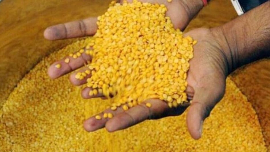 सरकार का बड़ा फैसला: अब पीली मटर पर लगेगा 30% टैक्स, जानें किसानों को कैसे होगा फायदा सरकार का बड़ा फैसला: अब पीली मटर पर लगेगा 30% टैक्स, जानें किसानों को कैसे होगा फायदा