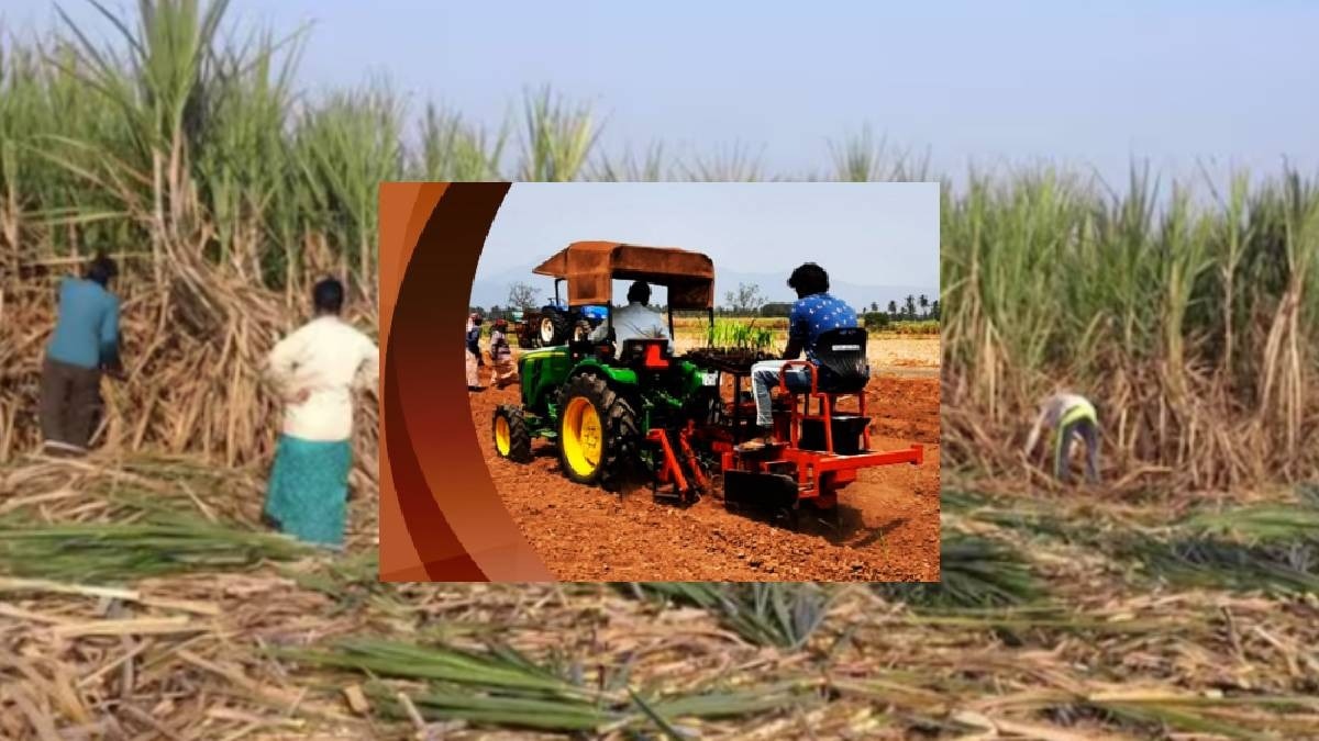 sugarcane transplanter machine