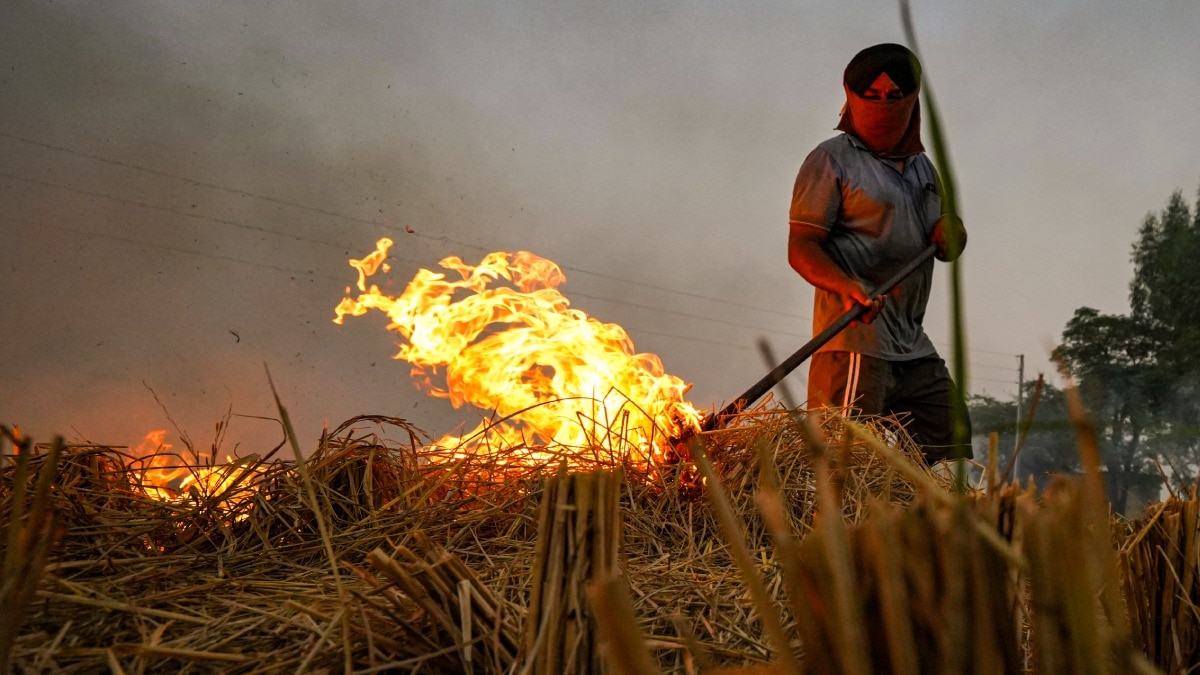 stubble burning Punjab  