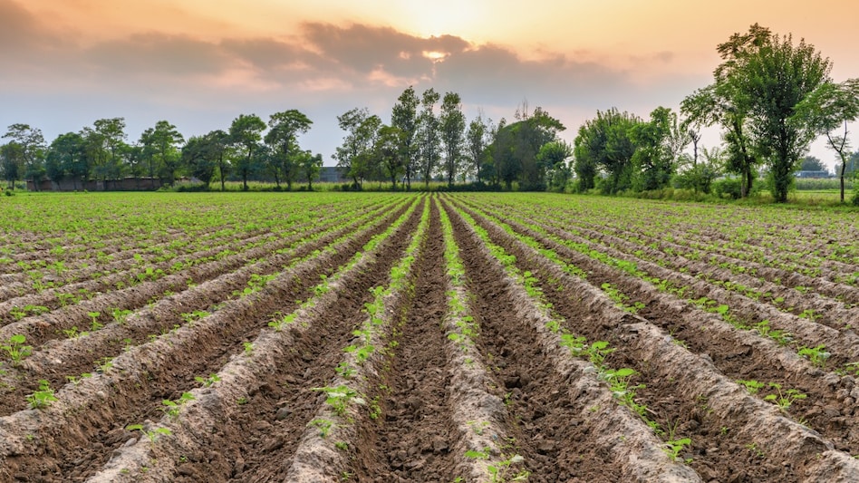 न खाता न बही: हरियाणा में कल से पेपरलेस Land Registration की शुरुआत, अब कागजी दस्तावेज खत्म न खाता न बही: हरियाणा में कल से पेपरलेस Land Registration की शुरुआत, अब कागजी दस्तावेज खत्म