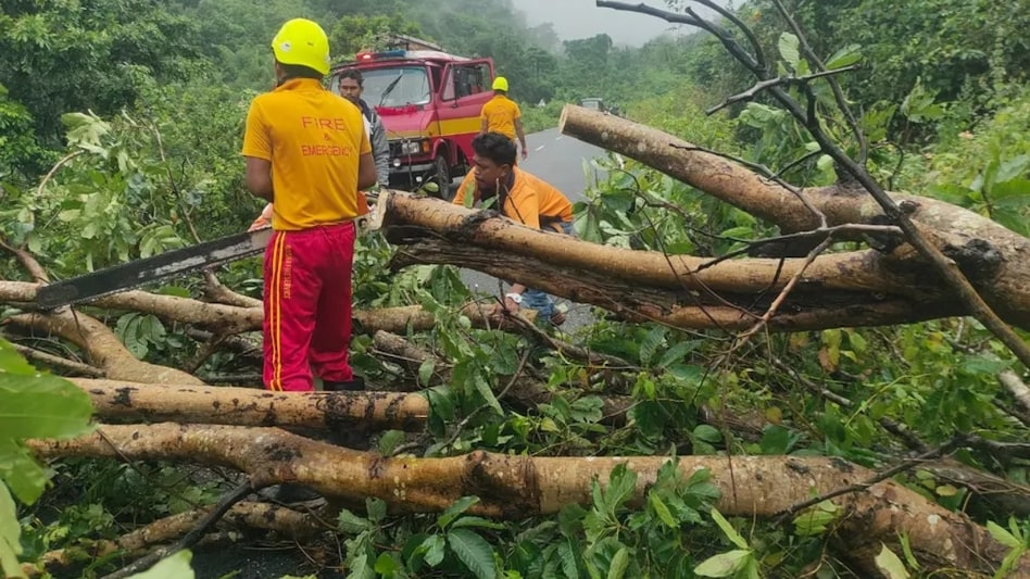 Cyclone ‘मोंथा’ से ओडिशा में तबाही, फसलें बर्बाद — सरकार ने शुरू कराया बड़े पैमाने पर नुकसान का सर्वे Cyclone ‘मोंथा’ से ओडिशा में तबाही, फसलें बर्बाद — सरकार ने शुरू कराया बड़े पैमाने पर नुकसान का सर्वे