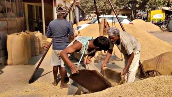 पंजाब में धान खरीद