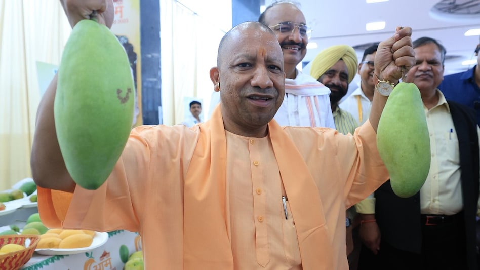 UP में आम की क्वालिटी और उत्पादन में होगा बड़ा सुधार, योगी सरकार शुरू करने जा रही पायलट प्रोजेक्ट UP में आम की क्वालिटी और उत्पादन में होगा बड़ा सुधार, योगी सरकार शुरू करने जा रही पायलट प्रोजेक्ट