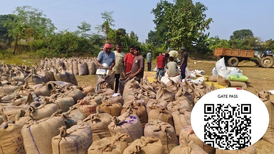 अब हरियाणा में नहीं आएगी धान खरीद में परेशानी, बनाए गए QR Code वाले गेट पास अब हरियाणा में नहीं आएगी धान खरीद में परेशानी, बनाए गए QR Code वाले गेट पास