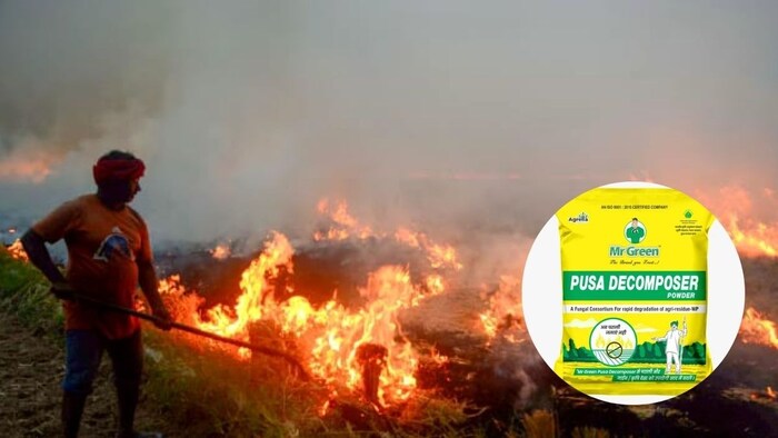 डीकम्पोजर वेटेबल पाउडर