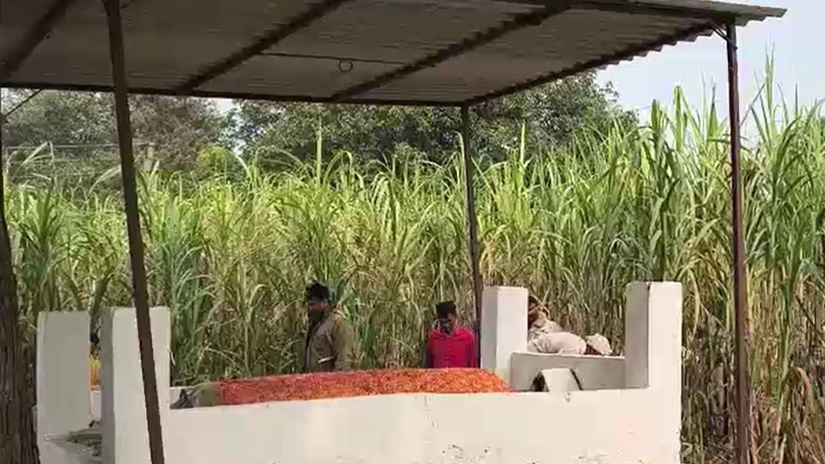 Bijnaur Khet Mazaar