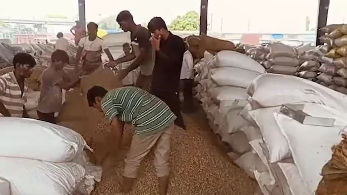 Jamnagar Moongphali mandi