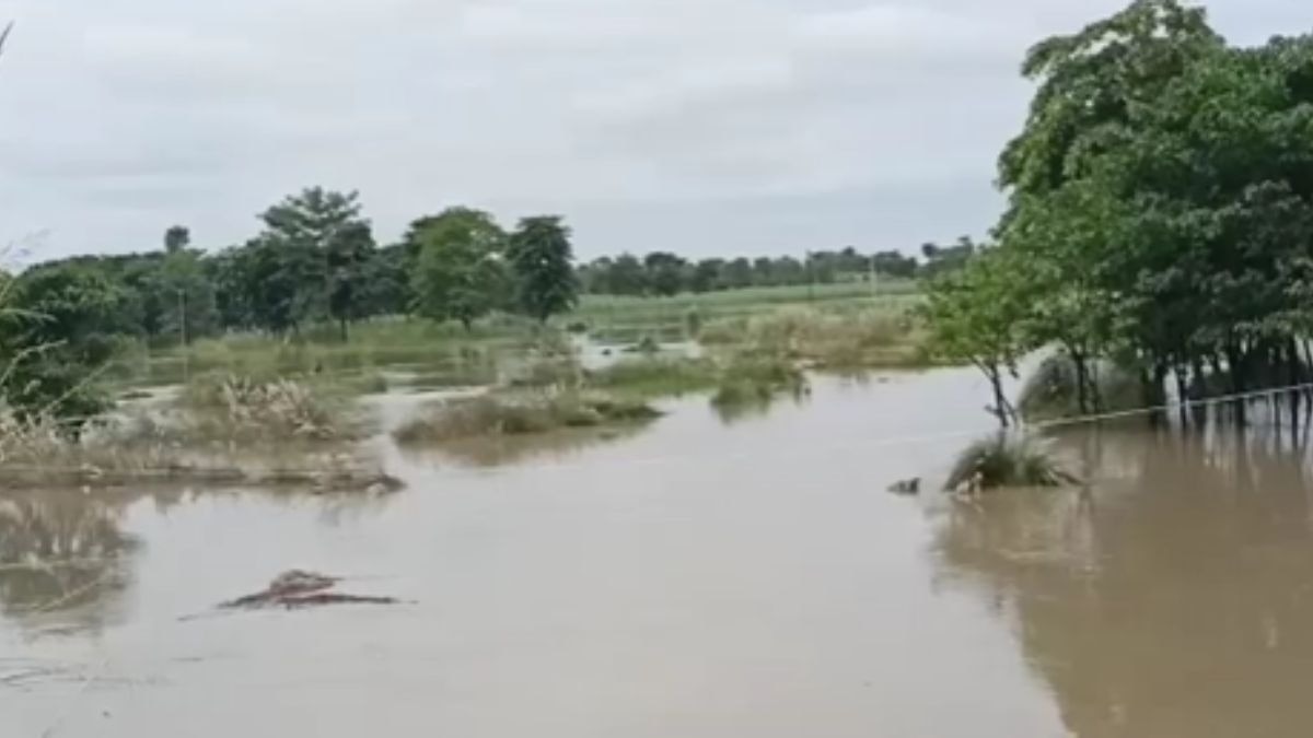 पानी में डूबी हजारों एकड़ फसलें