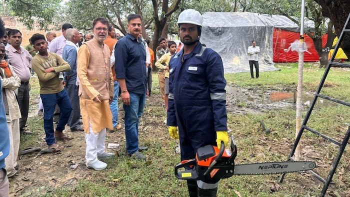 पुराने आम के बागों को मिलेगा नया जीवन (Image-Social media)