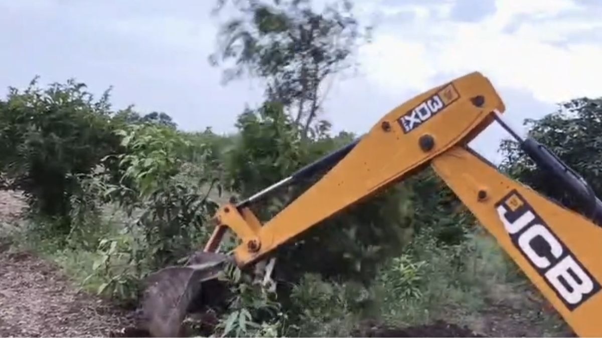 Custard Apple orchard Destroyed with JCB