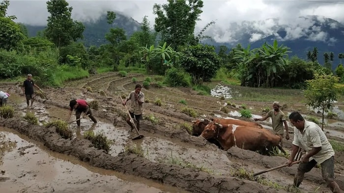 नवंबर के पहले सप्ताह में कर लें ये काम