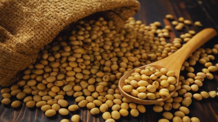 सोयाबीन की कीमत