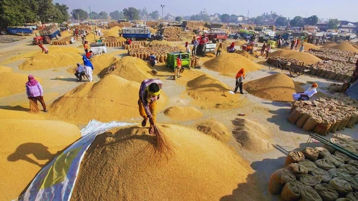 paddy procurement western Uttar Pradesh