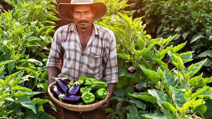 MP Vegetable Farming Subsidy Scheme