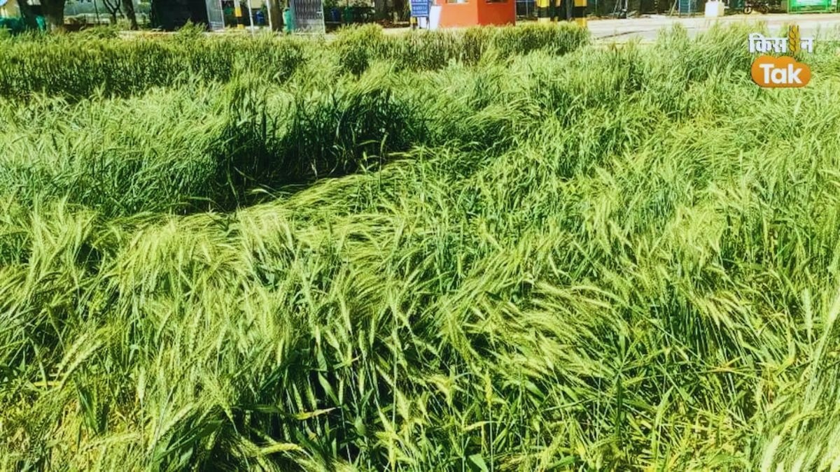 राहत पैकेज की घोषणा