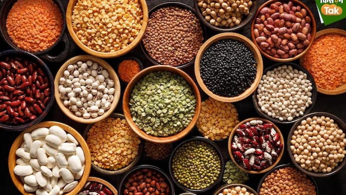 सीएसए कानपुर में किसानों का महाकुंभ