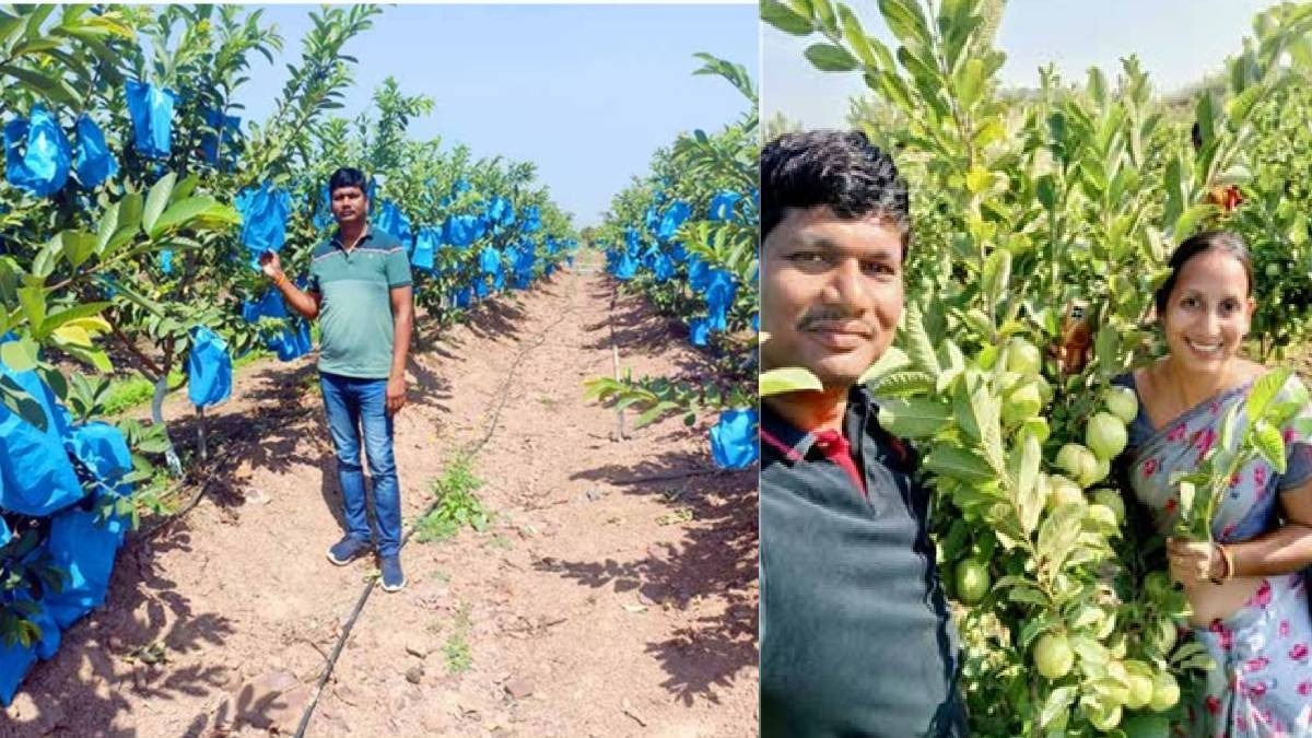 farmer success story