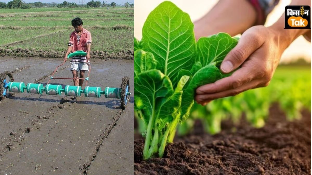 खेती से किस्मत बदल रहे किसान